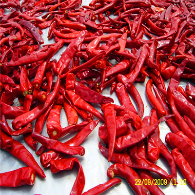 Baharatlı Çince Kuru Kızıl Biberleri Maddeleriyle